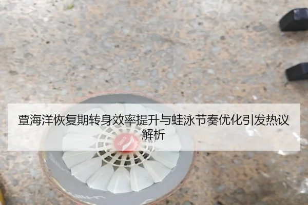 覃海洋恢复期转身效率提升与蛙泳节奏优化引发热议解析